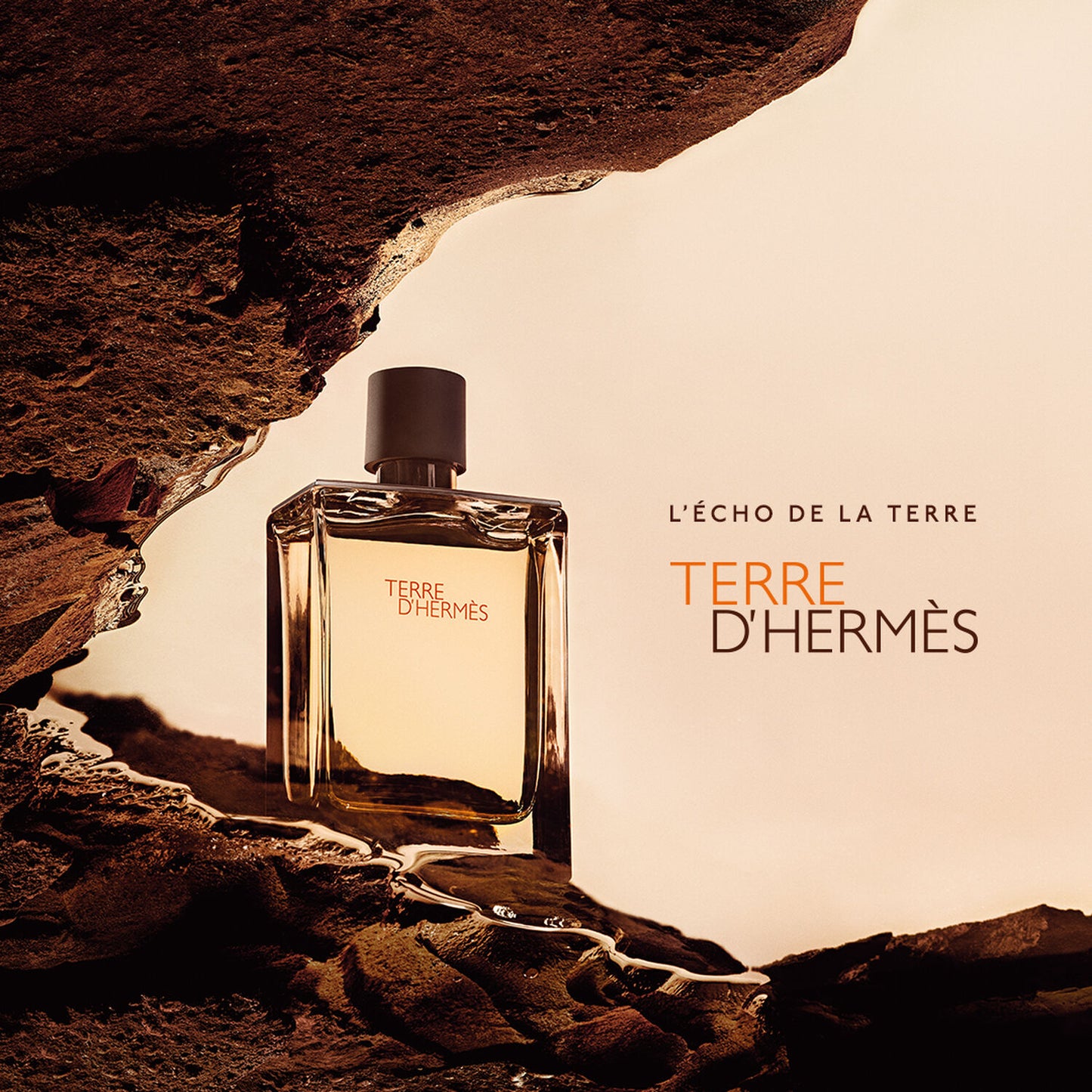 Terre d'Hérmès 100ML