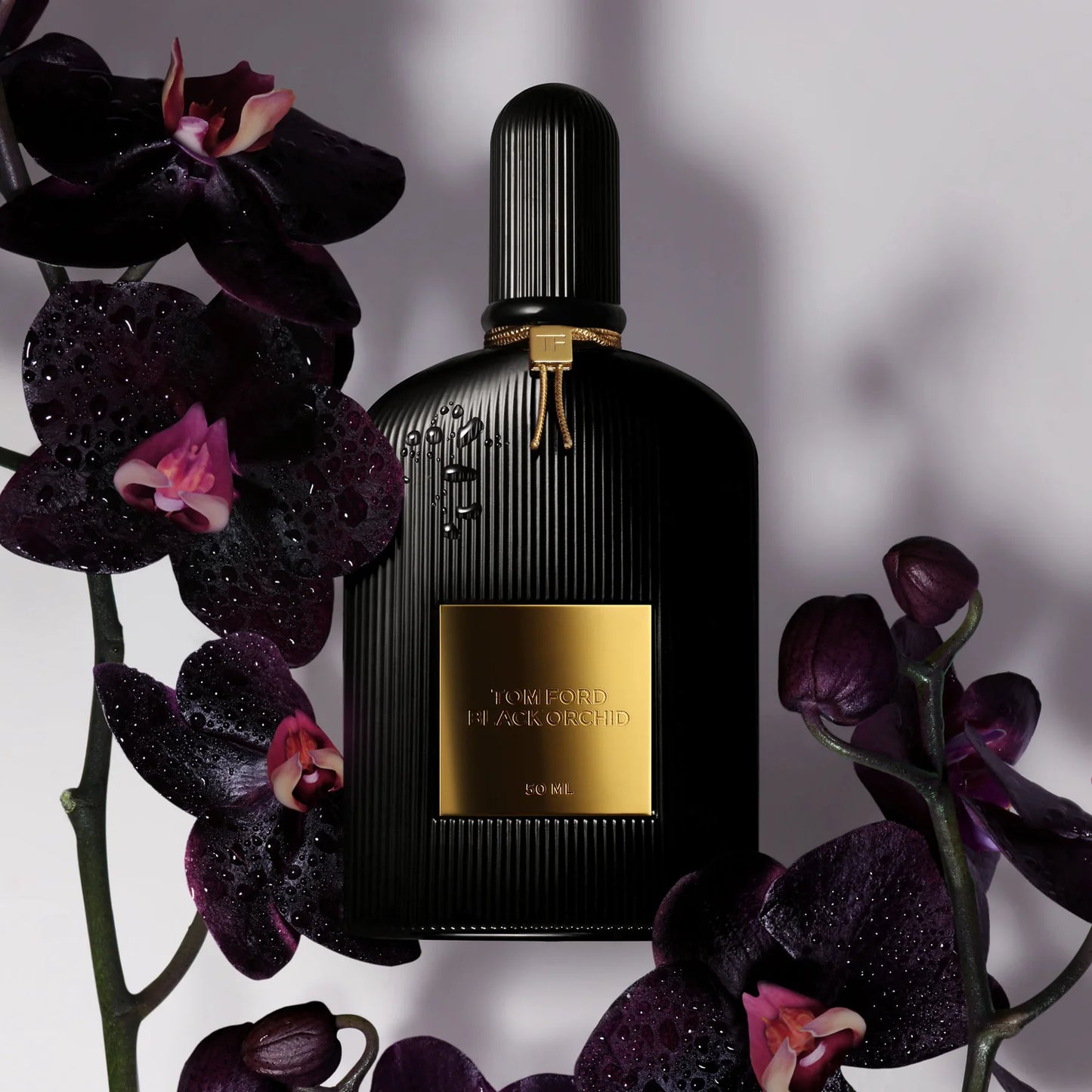 TOM FORD BLACK ORCHID 100ML