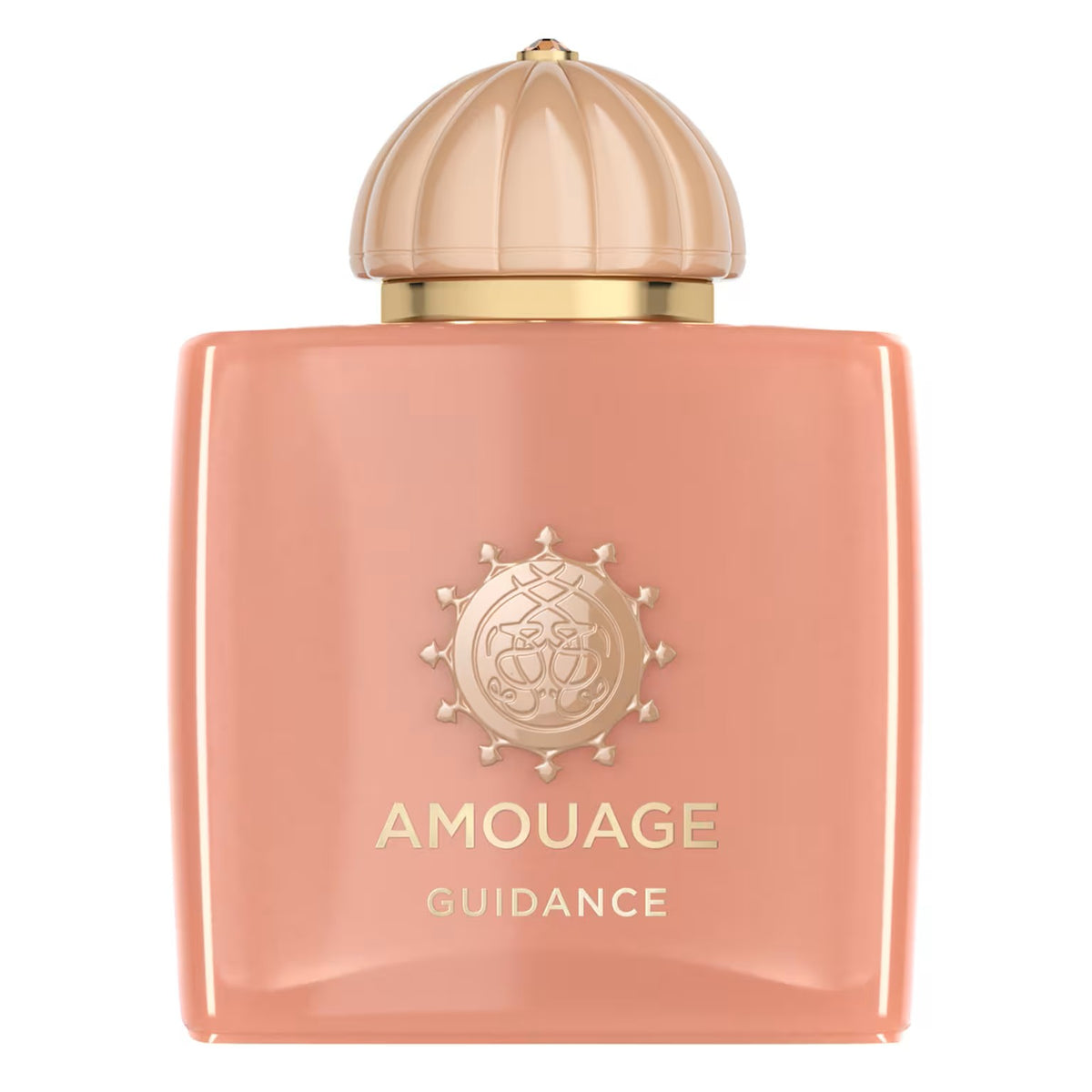 AMOUAGE GUIDANCE 100ml