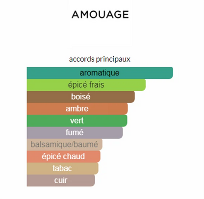 AMOUAGE MEMOIR EDP 100ML