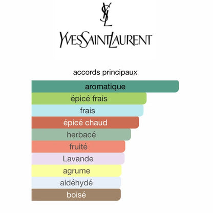 Yves Saint Laurent Y Le Parfum 100ML