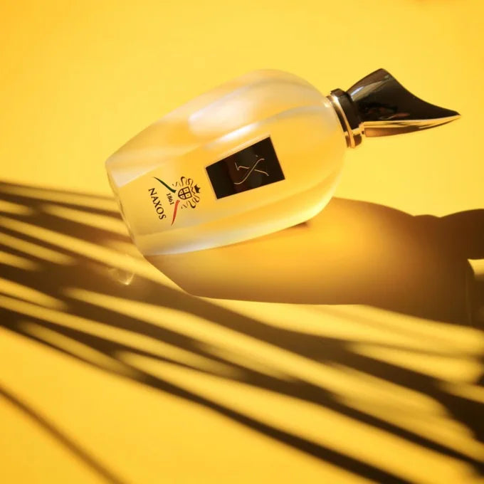 Xerjoff NAXOS 100ML
