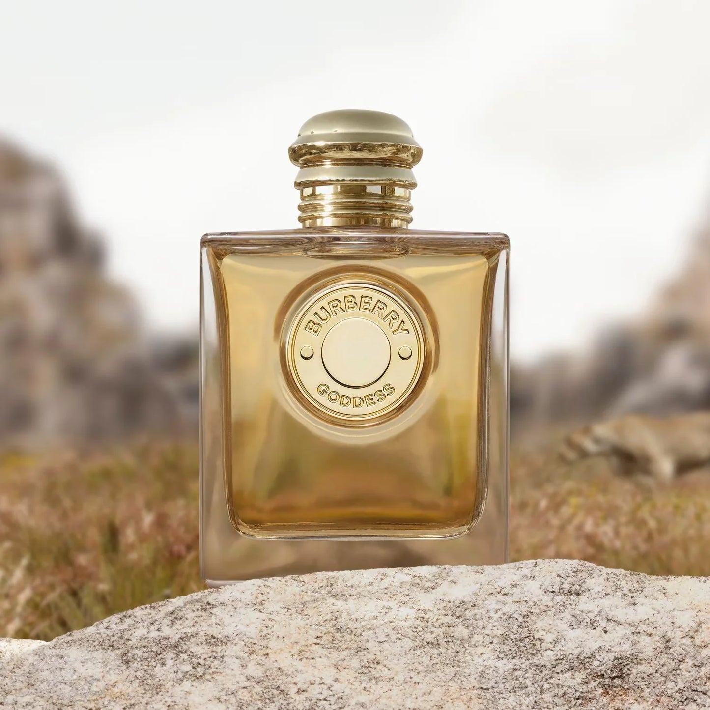 Burberry GODESS EDP 100ML