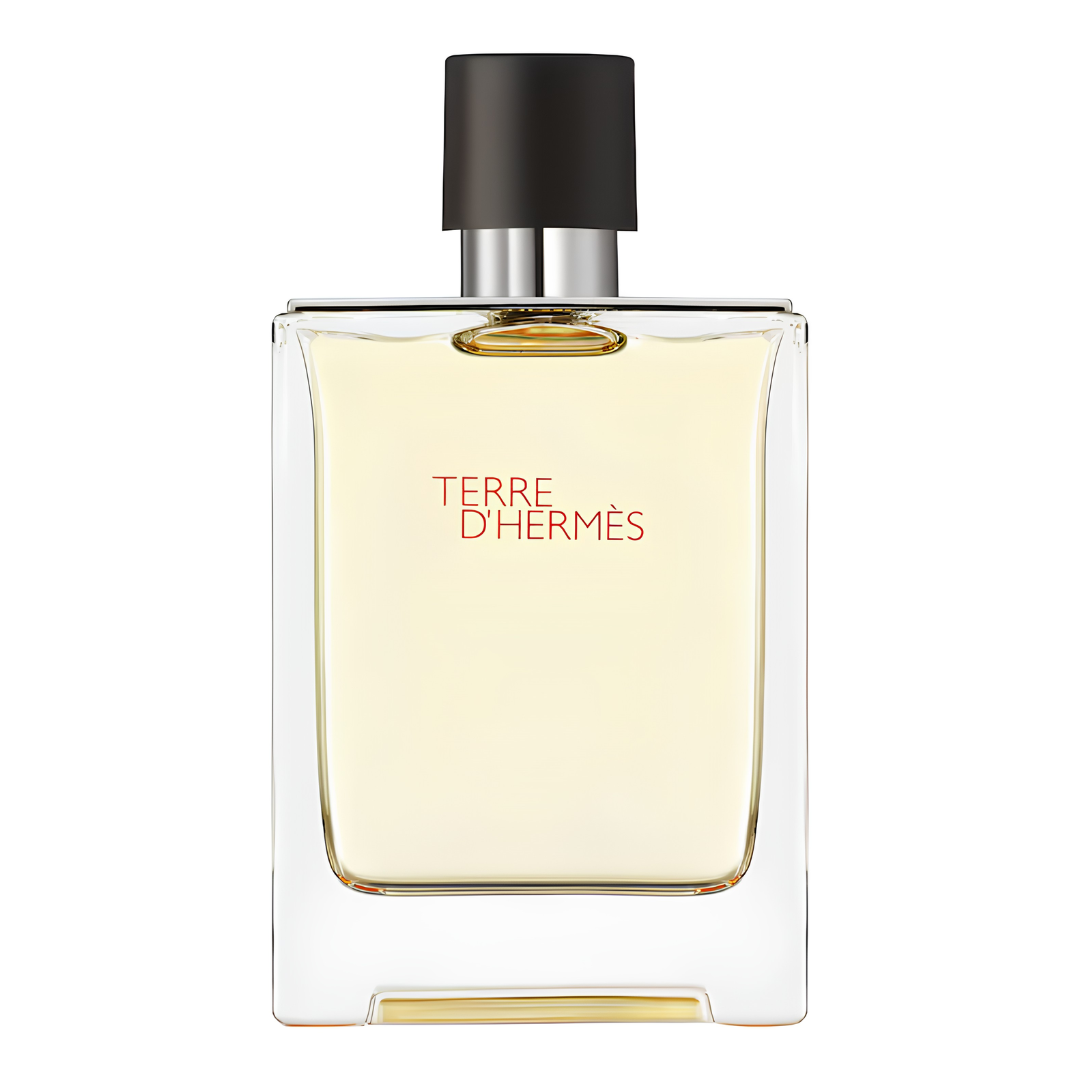 Terre d'Hérmès 100ML