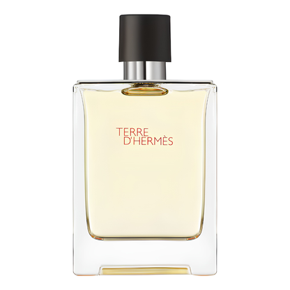 Terre d'Hérmès 100ML