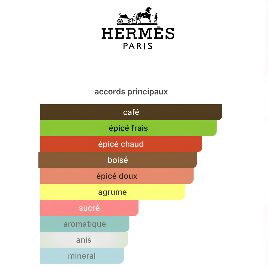 Terre d'Hérmès EAU DE PARFUM INTENSE 100ML
