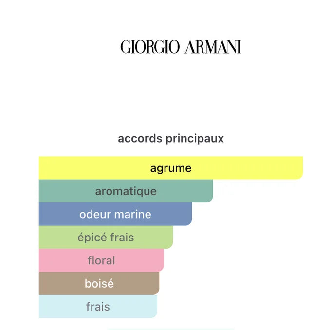 ACQUA DI GIO Giorgio Armani EDT 100ML