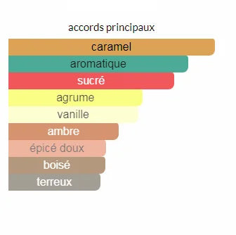 JPB Scandal Pour Homme EDT 100ML