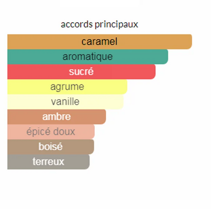 JPB Scandal Pour Homme EDT 100ML