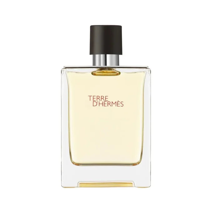 Terre d'Hérmès 100ML