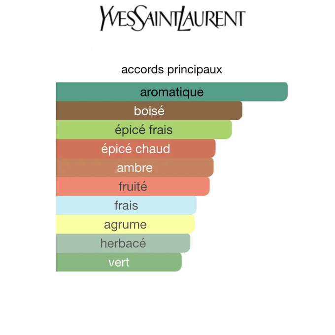 Yves Saint Laurent Y EDP 100ML